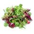 SALADE JP MESCLUN THERMO / FRANCE / KG