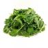 SALADE J P  ROQUETTE "THERMO""   1KG